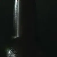 渋谷のクラフト酒の魅力