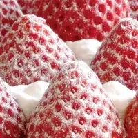 おやつラボの新刊