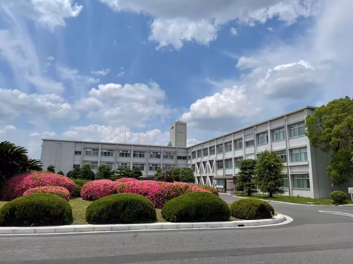 画像8