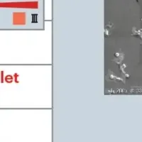 新しい医療機器