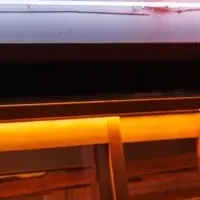 新宿一丁目たぬき