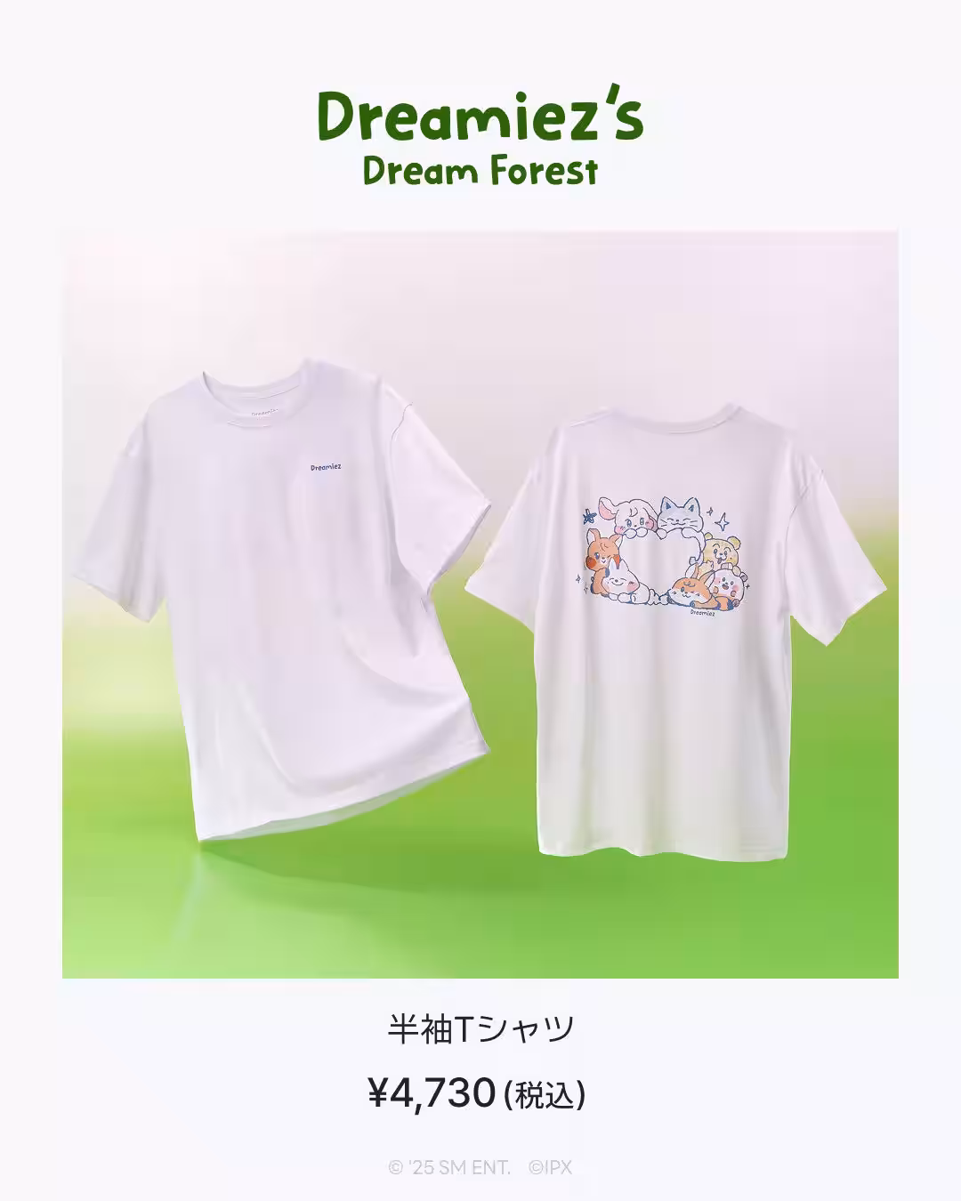 画像11