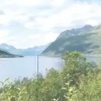 新しい折り戸登場