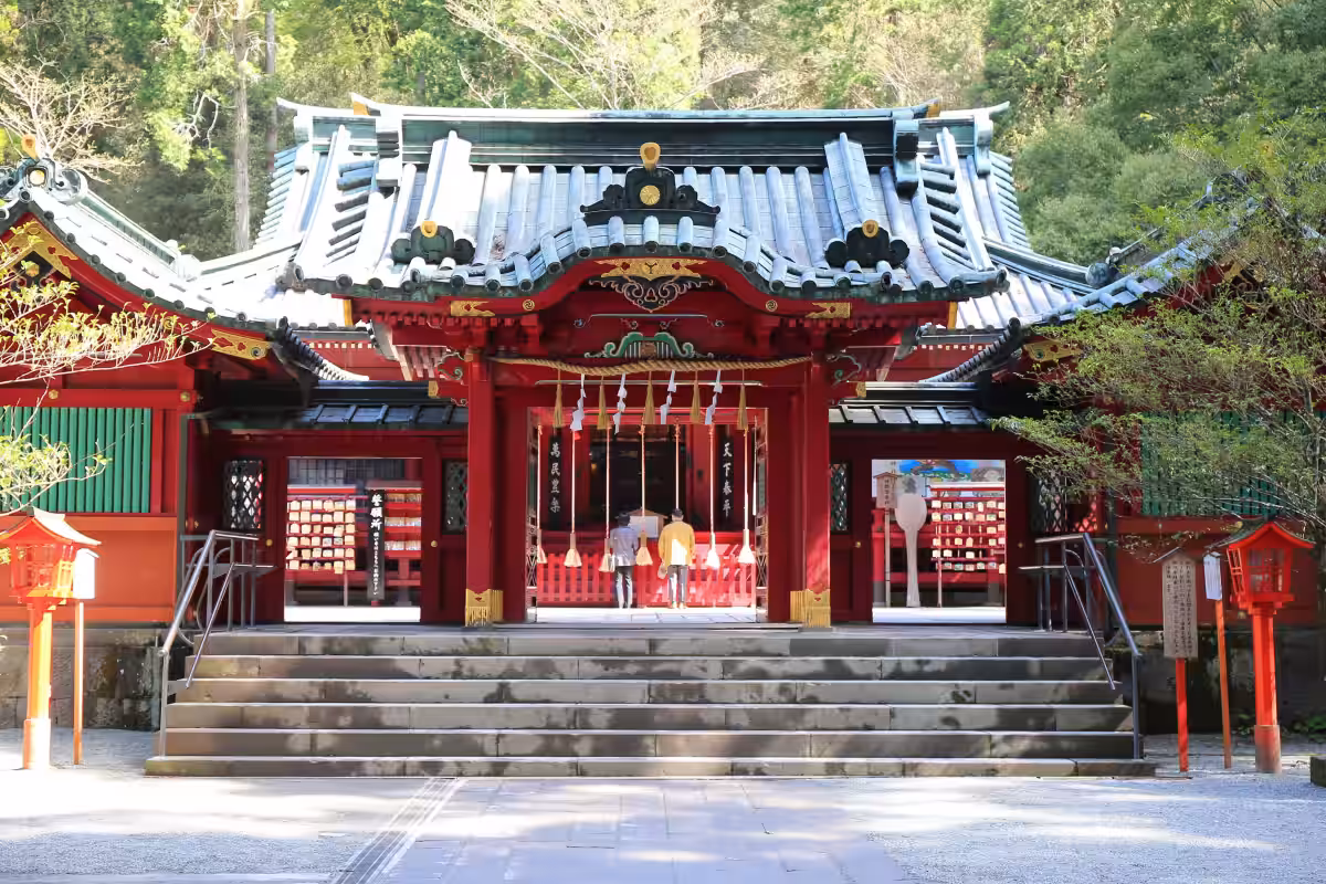 画像7