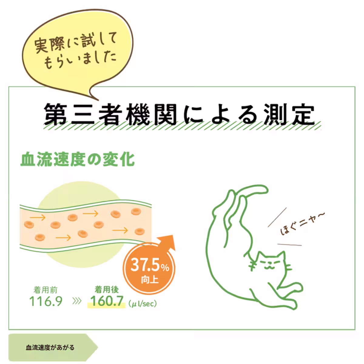 画像15