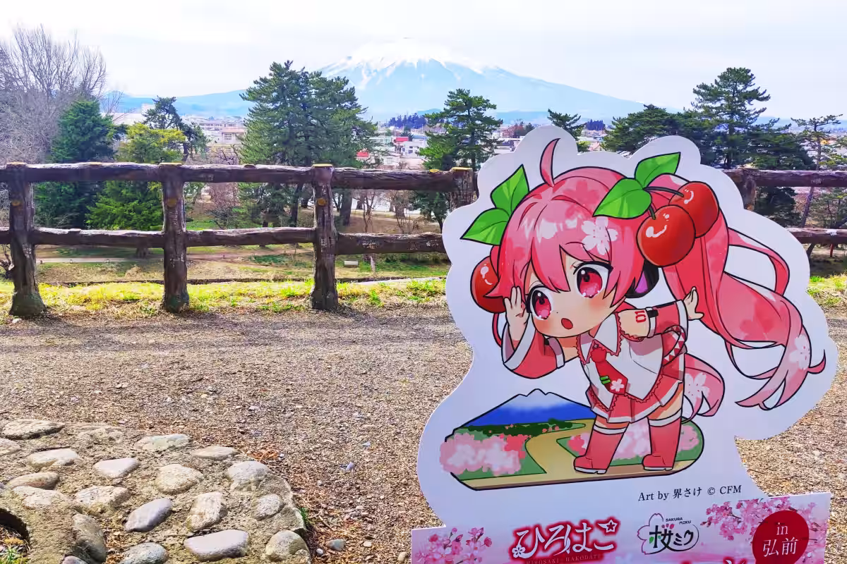 画像7