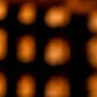 ブヤチッチ来日