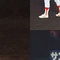 猛牛軍団の全て