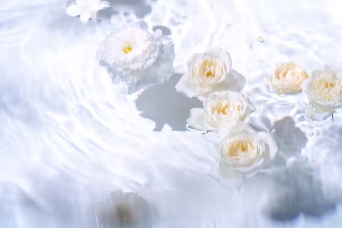画像10
