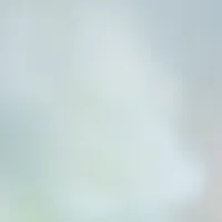ROAlívの新定番フレグランス