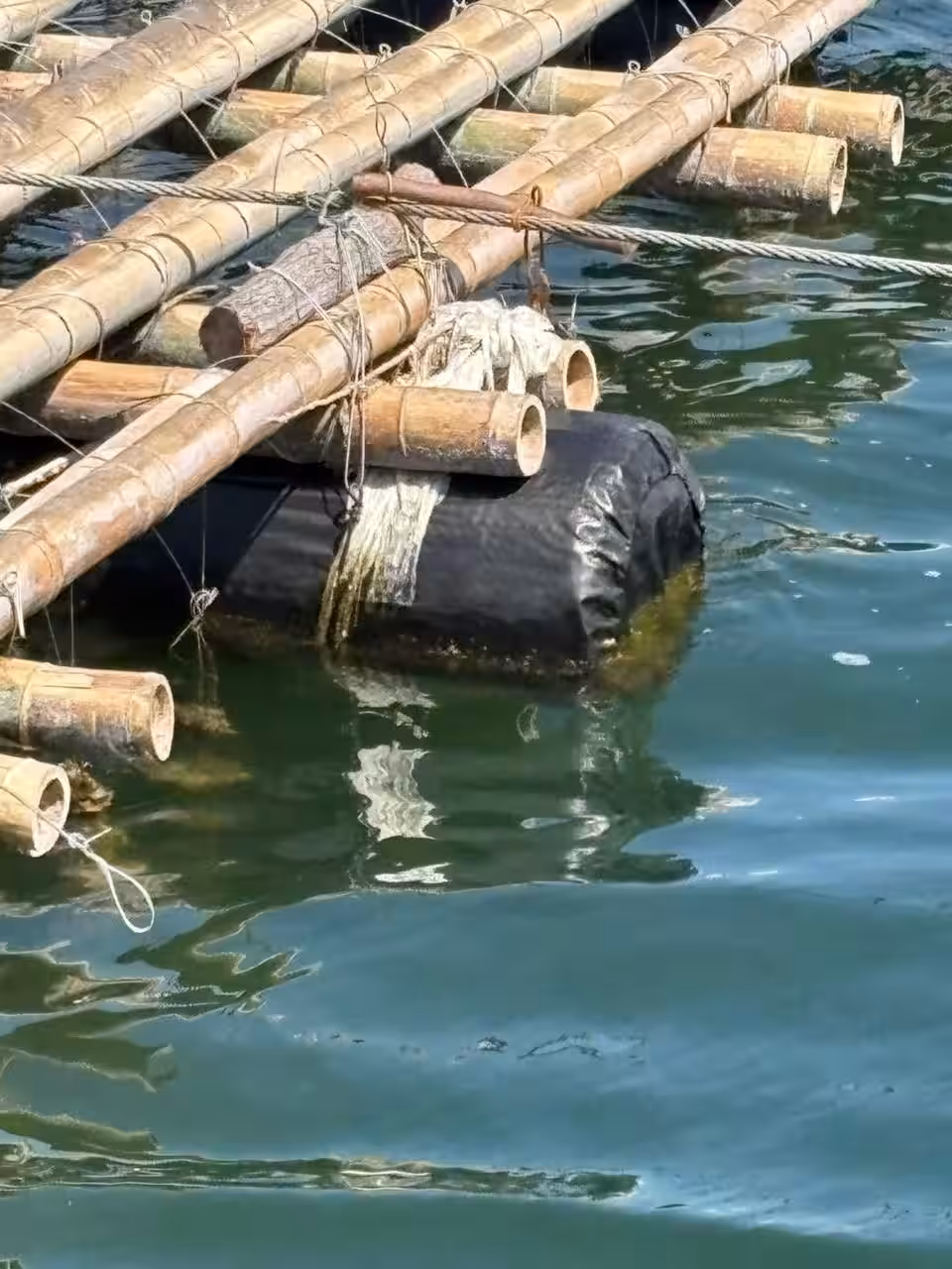画像13