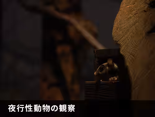 画像14
