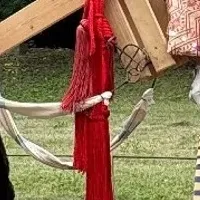 浜離宮で馬術体験