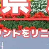 千葉県LINE公式アカウント