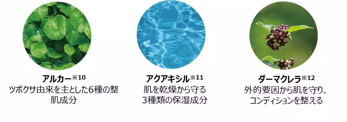 画像13