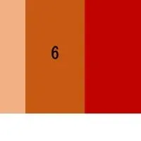 パーム油格付け2024