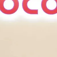 リックソフトの支援