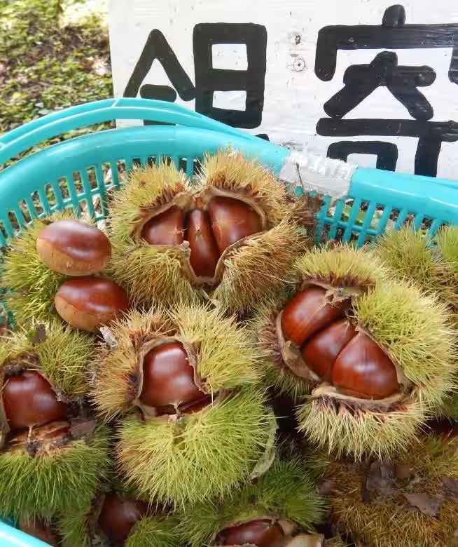 画像19