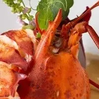 聖夜の贅沢プラン