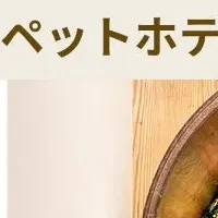 猫ホテルへの投資