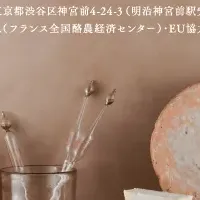 フランスチーズ体験