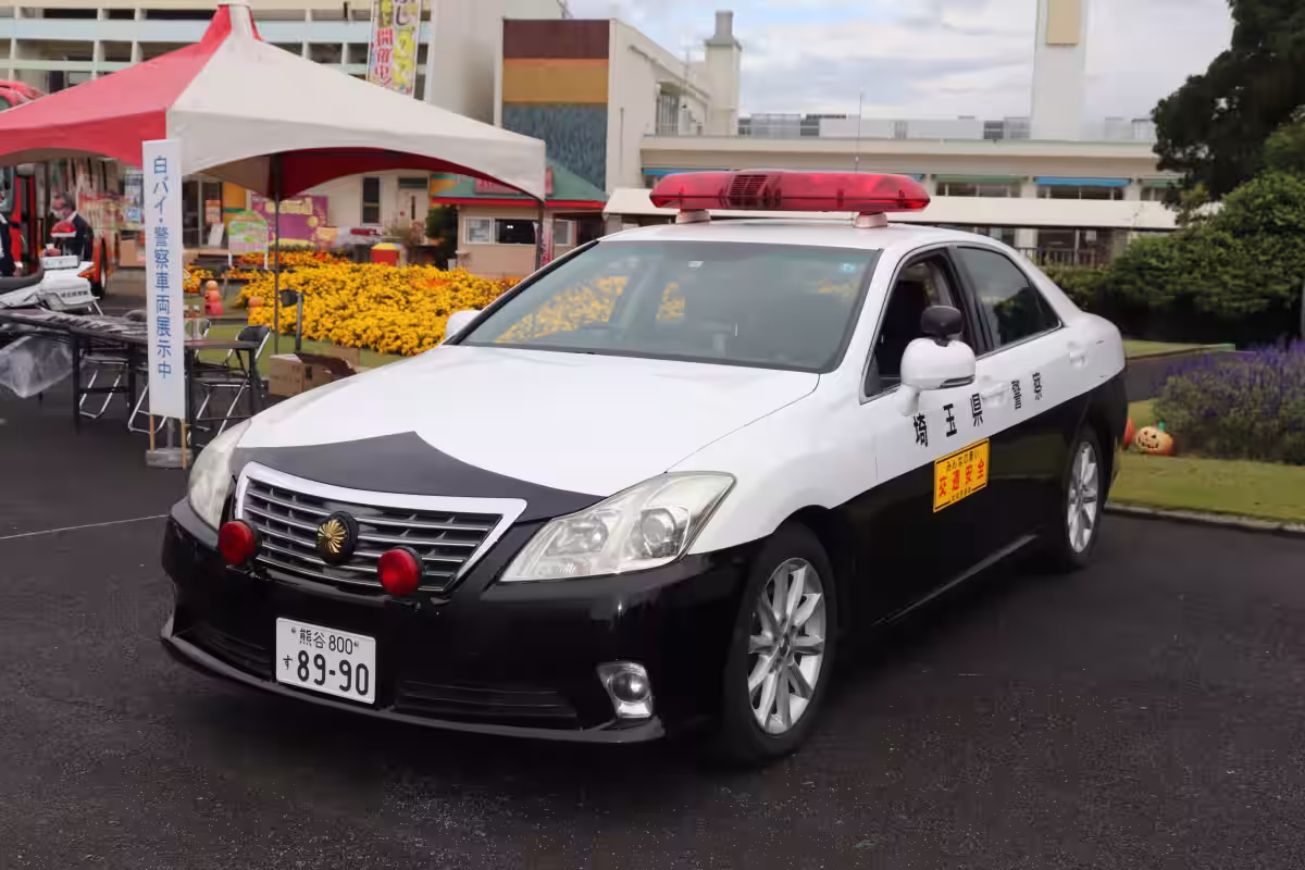 画像5