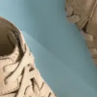 進化したトライジェニック