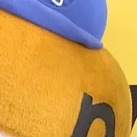 藤嶌果歩の特番