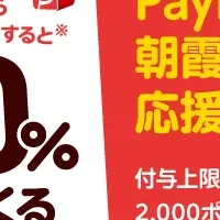 デンキチでPayPay還元