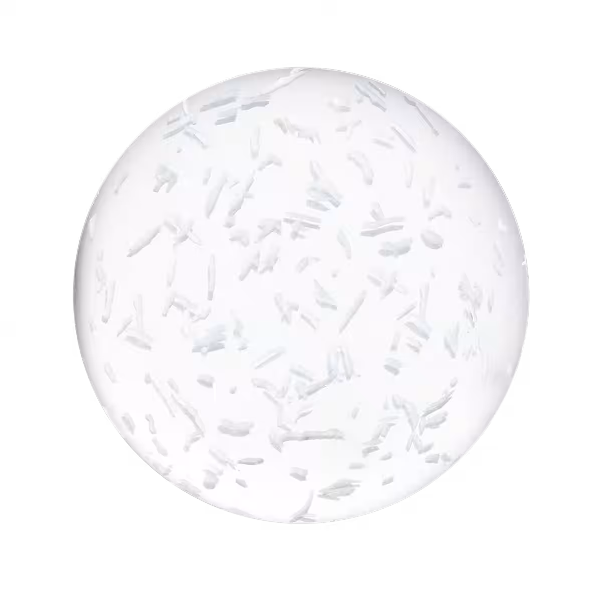 画像12