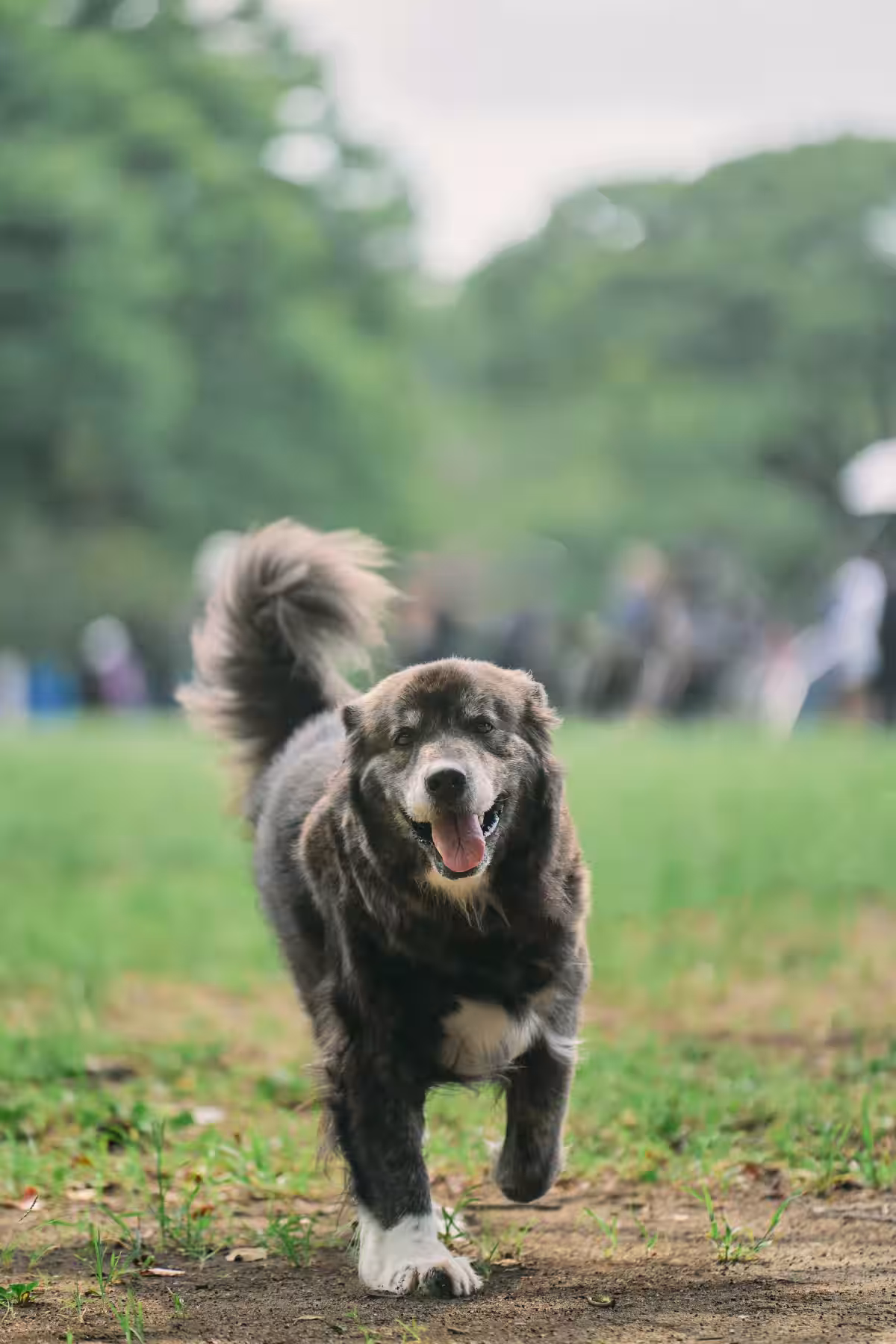 画像23