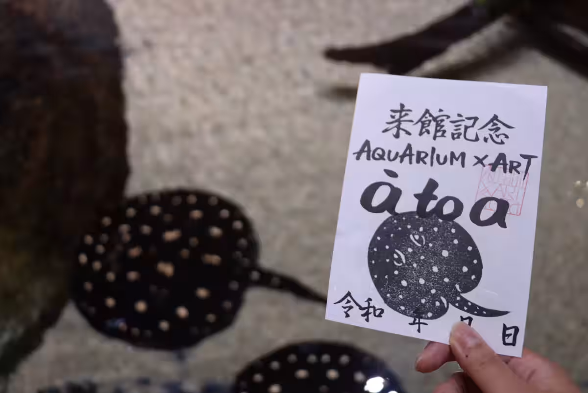画像13