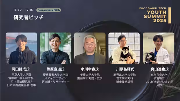 画像9