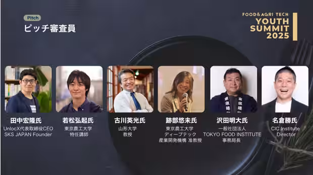 画像11