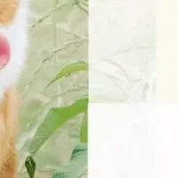 保護犬と共生の未来