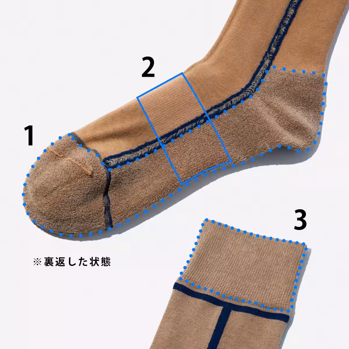 画像7