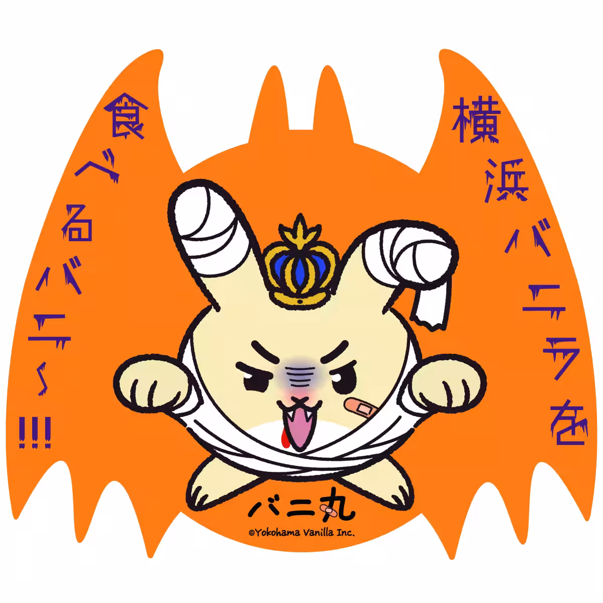 画像14