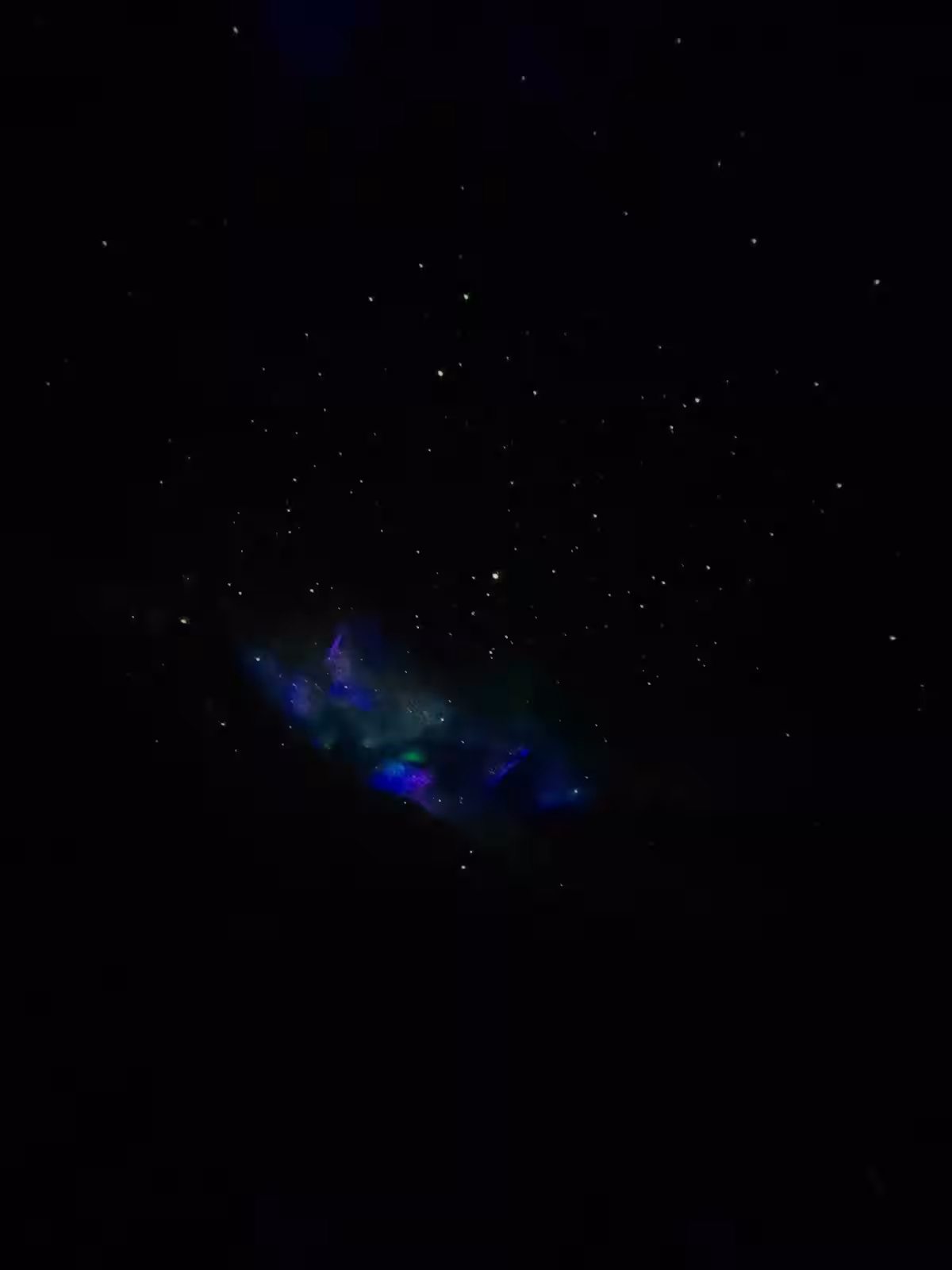 画像8