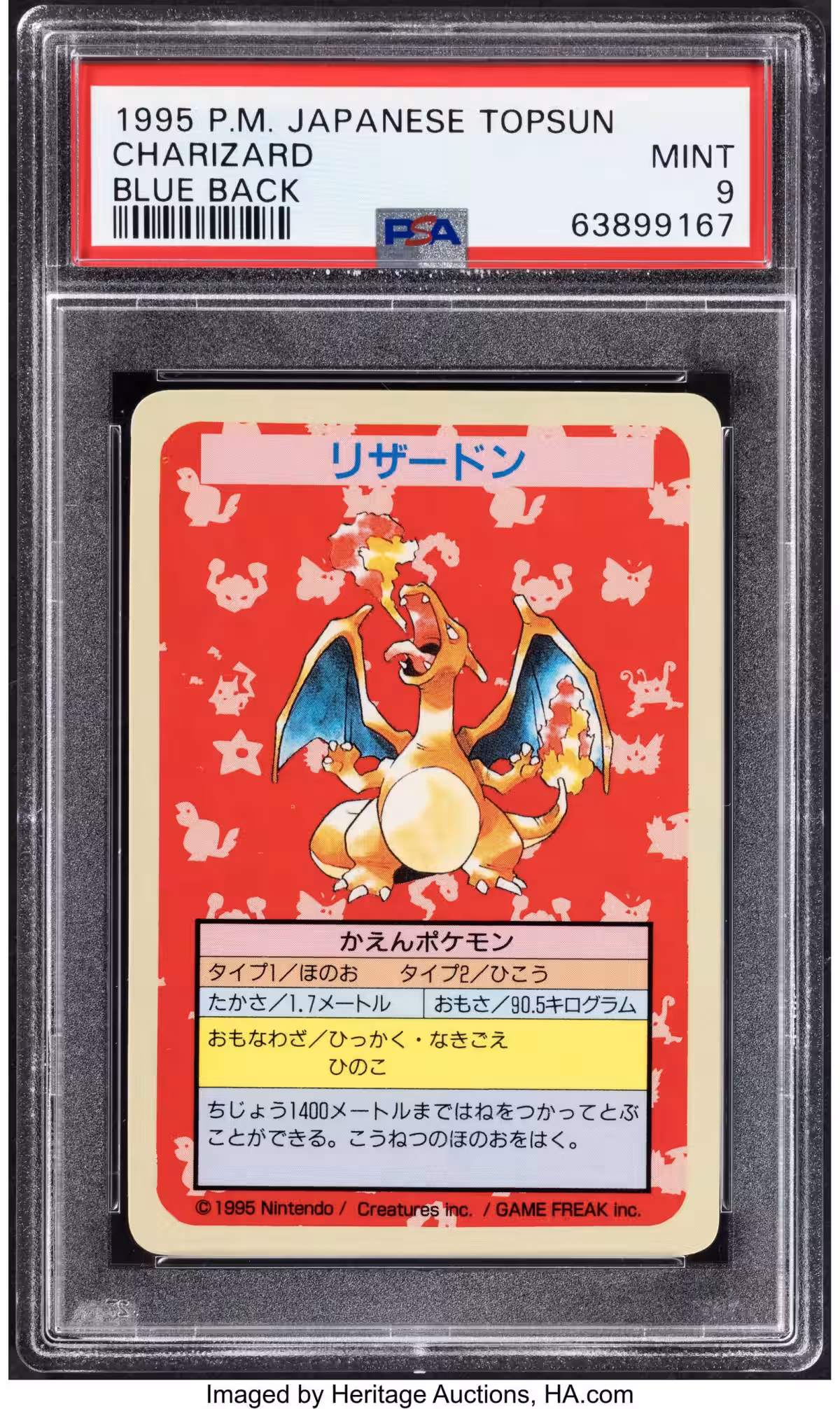 画像7