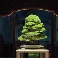 ブルガリ ホテル 東京の快挙