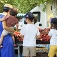 フランス在住ママの知恵