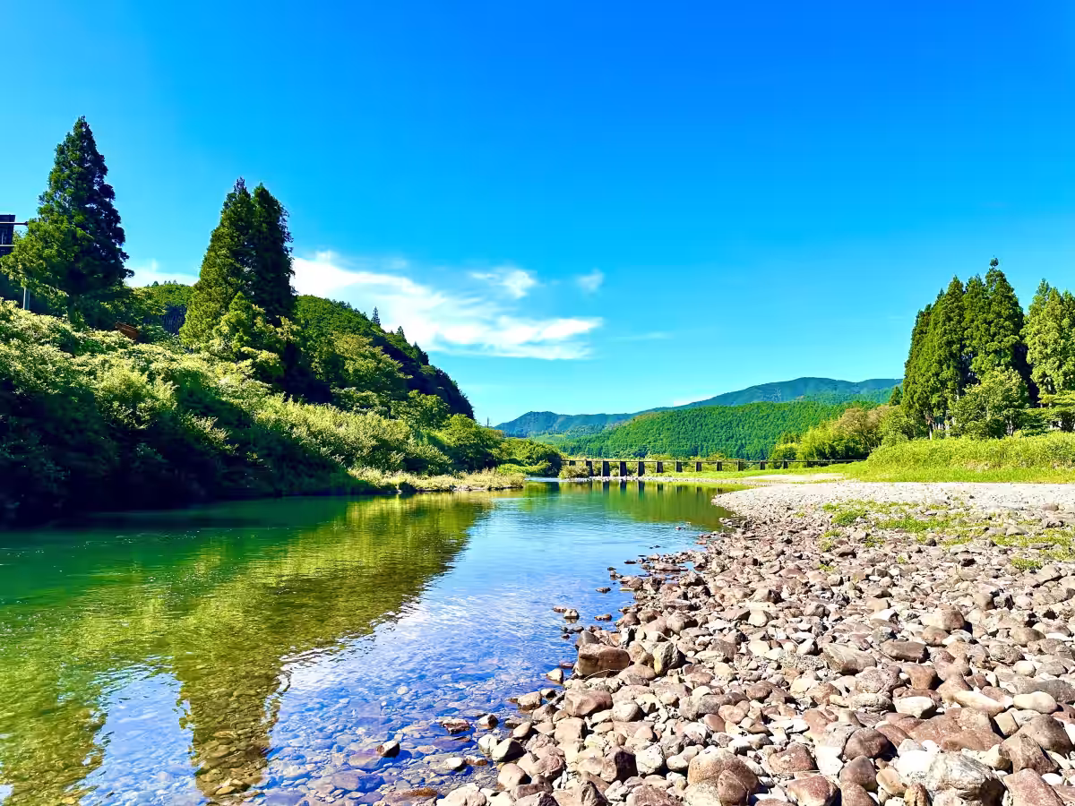 画像14