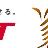 新たなソリューション