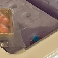 冷凍寿司の空輸成功