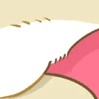 うさぎとの日々