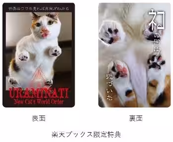 画像6