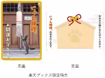 画像9