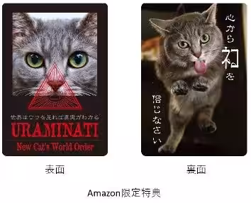 画像5