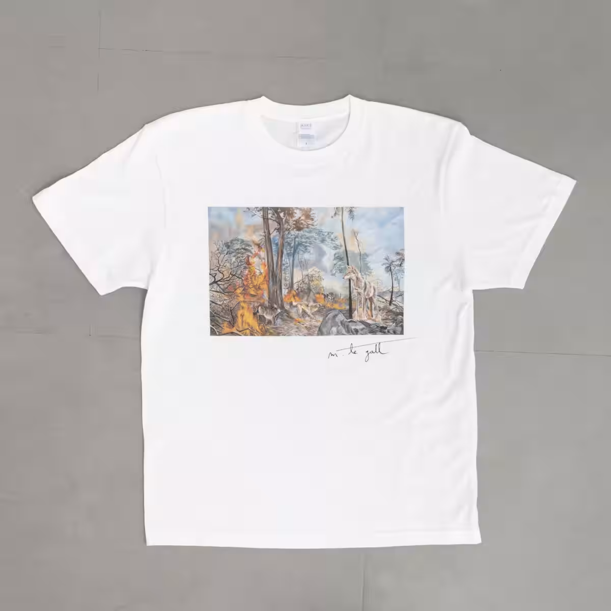 画像13