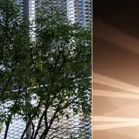 光の饗宴コース